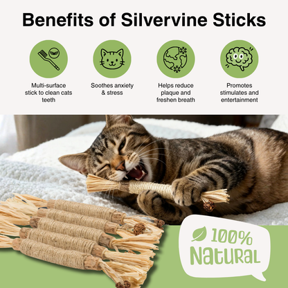 Natural Silvervine Dental Sticks