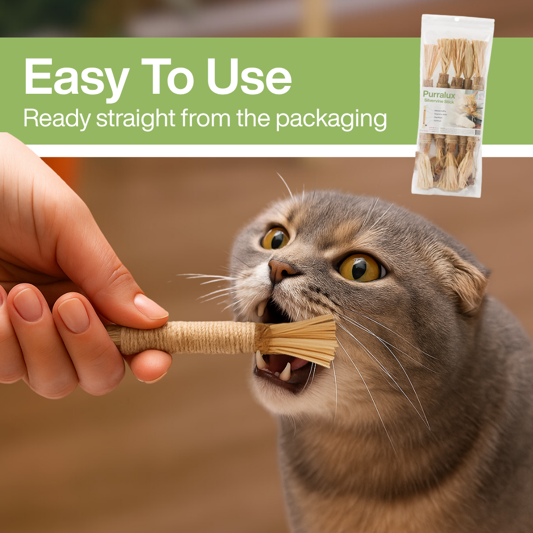 Natural Silvervine Dental Sticks