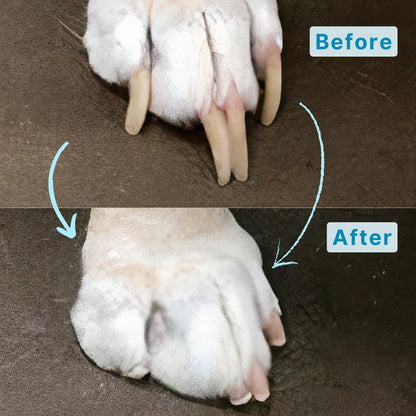 WhisperTrim™ Pro V2 Smarter. Quieter. Kinder to Paws