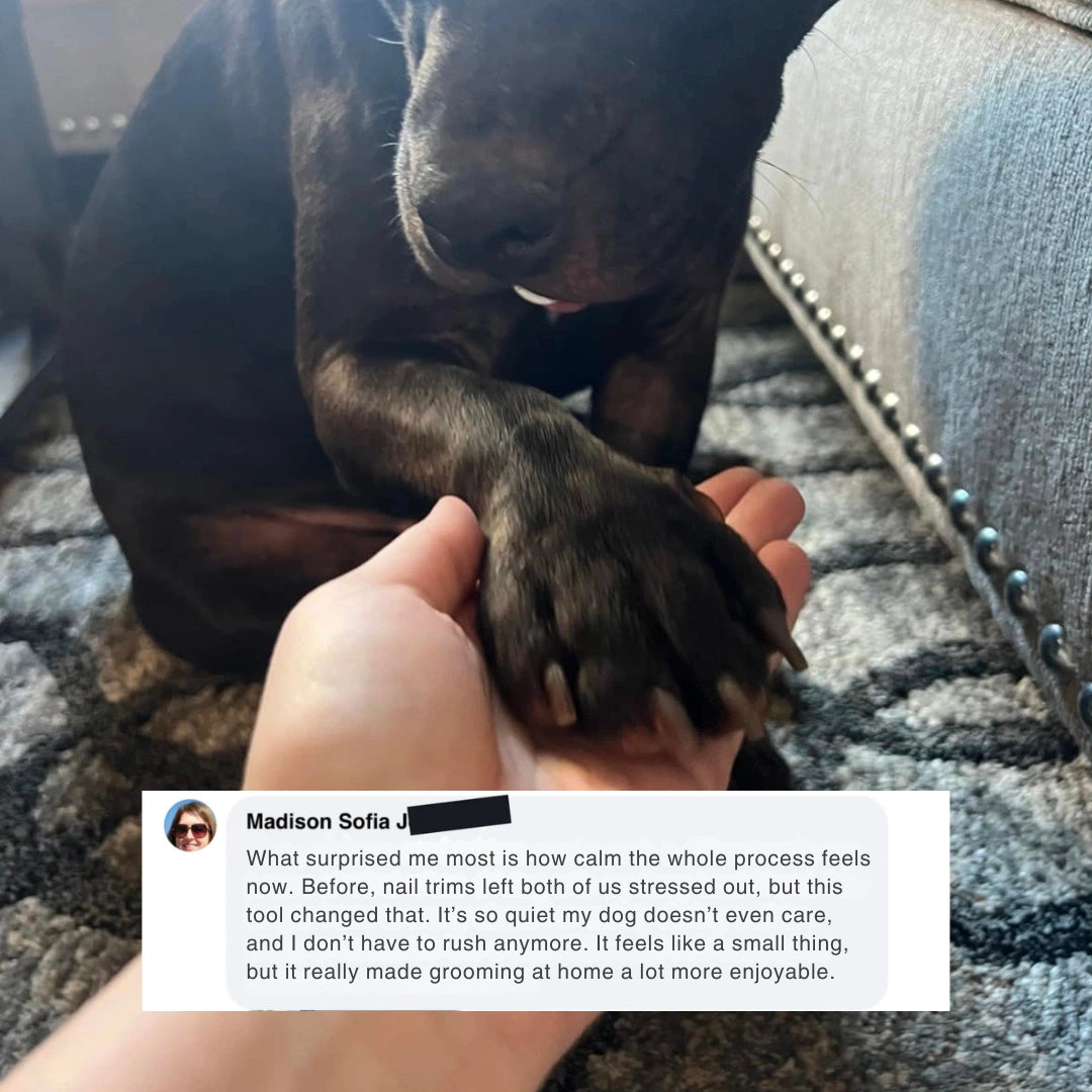 WhisperTrim™ Pro V2 Smarter. Quieter. Kinder to Paws