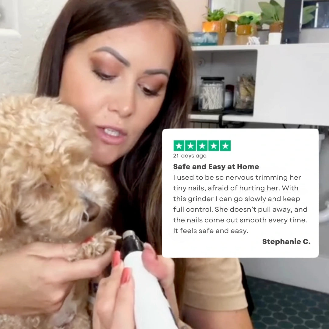 WhisperTrim™ Pro V2 Smarter. Quieter. Kinder to Paws